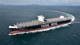 陽明海運購新船 服務亞歐航線陽明海運24日在日本今治造船株式會社造船廠舉行新船承明輪、景明輪命名和交船典禮，這兩艘大型貨櫃輪明年2月交付陽明海運，並服務於亞歐航線。（陽明海運提供）中央社記者韋樞傳真　107年12月24日
