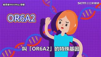 討厭香菜不是你的錯！原來和基因有關