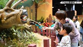 侏羅紀X恐龍水世界
圖／寬宏藝術