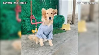 汪在強風中眼神死　網笑：在拍廣告？