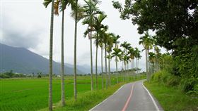 台東關山名列台灣人最愛5大自行車道（1）近年來台灣民眾騎自行車風潮漸盛，訂房網站Booking.com統計「台灣人最愛5大自行車目的地」，台東關山環鎮自行車道名列其中。（台東縣政府提供）中央社記者李先鳳傳真　108年11月20日