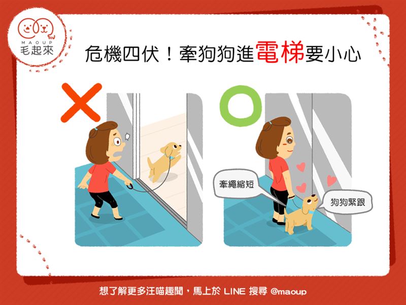 帶狗狗進電梯別大意！　當心人狗兩隔