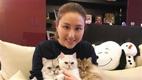 何超雲（翻攝自何超雲IG）