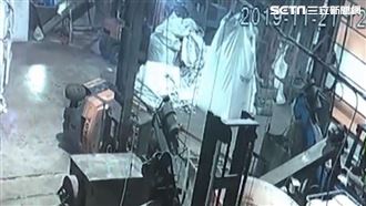 堆高機甩尾側翻　工人成「肉墊」慘死