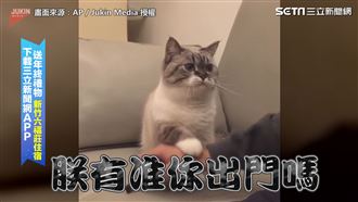 在家伺候朕！　霸氣喵皇不讓主人出門