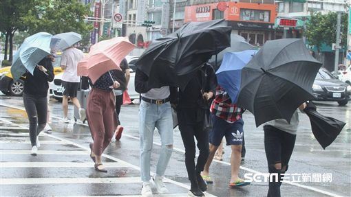 鳳凰外圍環流影響　北有雨沿海風浪大