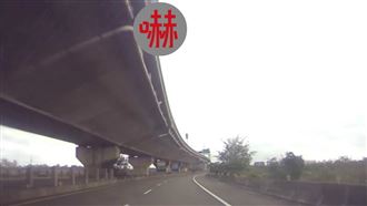 天外飛來一隻狗撞擋風玻璃　駕駛嚇壞