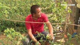 反韓遊行首宣傳片！農民怨：貨賣不出