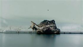 怪奇超自然 劇照