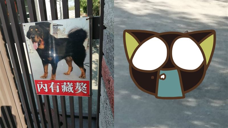 內有藏獒！下秒虎爺霸氣坐陣　網嚇歪