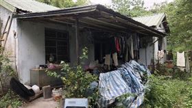 寶石,日本,老翁,花蓮