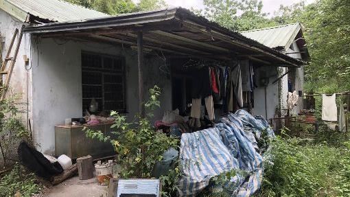 來台挖寶石36年！日籍翁：我想回家