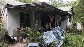 來台挖寶石36年！日籍翁：我想回家