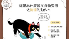 名家專用／毛起來MAOUP（勿用）