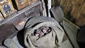 探訪南極！竟見整袋「100年紅洋蔥」…專家驚呆：沒發霉