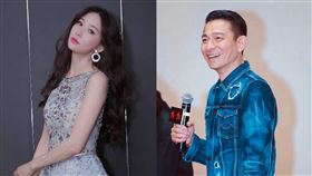 林志玲,劉德華,婚禮,受邀（合成圖／翻攝自臉書）