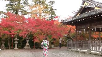 搶自助商機！旅遊平台推「套裝」行程