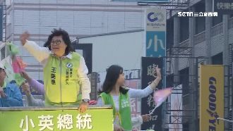 嘉義立委選戰破紀錄！8人參選搶一席