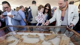 幼獅木乃伊 圖／https://imgur.com/IdaNTdi