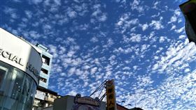 高積雲　（圖／記者陳弋攝影）