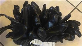 好市多，女網友買到24支盒裝，全都是右手。（圖／翻攝自臉書）