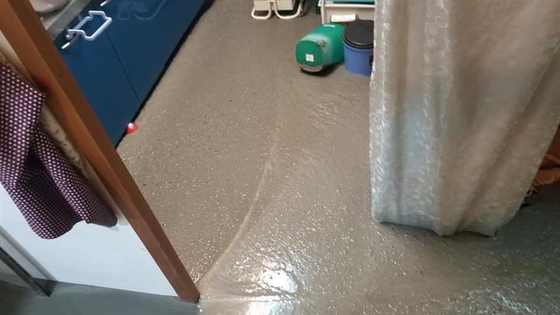 別人灌漿我家一片水泥？網：鋪挺好…
