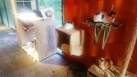 來源　寵物滔客