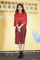 2019新加坡電視影匯市場展行前記者會《王牌辯護人》演員葉星辰。（圖／記者林士傑攝影）