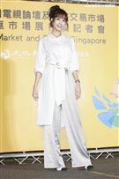 2019新加坡電視影匯市場展行前記者會《守著陽光守著你》演員何紫姸。（圖／記者林士傑攝影）