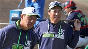 ▲養樂多監督高津臣吾。（圖／翻攝自推特）