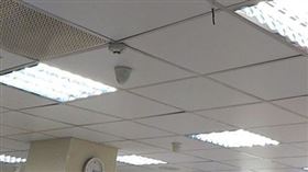 台灣奇談,便利商店,天花板,腳步聲,流浪貓,大夜班
(圖/翻攝自靈異公社)