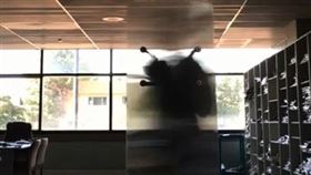 圖／翻攝自Hyperstealth Corp YouTube）