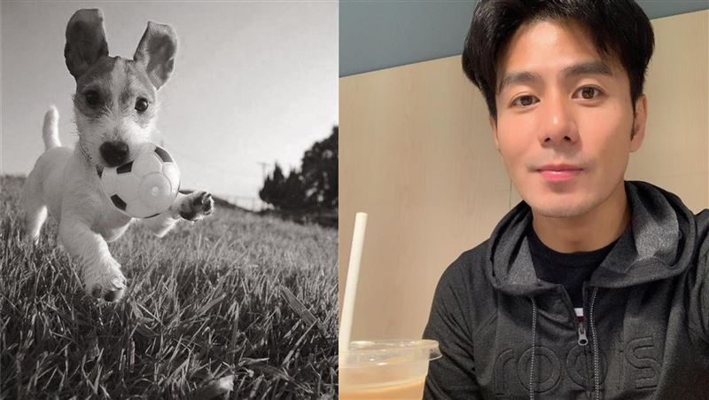 狗滾入車底！男星以為謀殺生命氣炸了