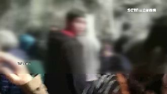 九曲洞前撒紙屑　硬拗「有機可分類」