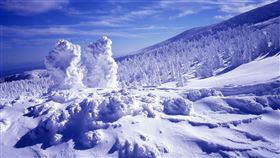 ▲冬日限定藏王樹冰奇景（圖／宏飛旅行社）