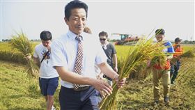 日本北海道青農參訪嘉義縣（1）日本北海道名寄市道北農業協同組合代表理事東野秀樹（前），26日帶領4名日本青年農民參訪嘉義縣太保市的有機米收割。中央社記者蔡智明攝  108年11月26日