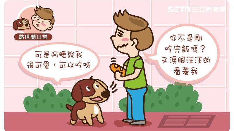 狗狗肥胖　容易得到的疾病