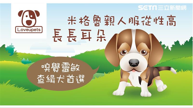 很好的家犬　最適合陪伴小孩子