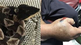 屏東,笠頂山,百步蛇,警消,抓蛇,登山