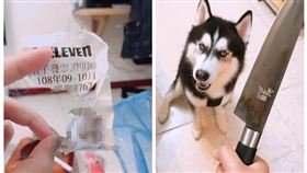 發票,中獎,補救,財政部,哈士奇(翻攝自爆怨公社)