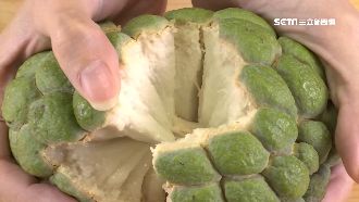 釋迦蓮霧有蟲?他用十句成語譙爆中國