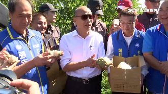 釋迦沒外銷農民苦？早達標超前打臉韓