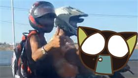 狗,機車,駕駛,巴西,安全帽,騎車,讚,危險,三貼,騎士,飼主,寵物　圖／翻攝自YouTube