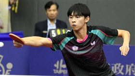▲桌球小將戴茗葦26日領軍中華隊在世青賽4強戰橫掃法國，隊史相隔16年後再闖決賽。（資料照／中央社）
