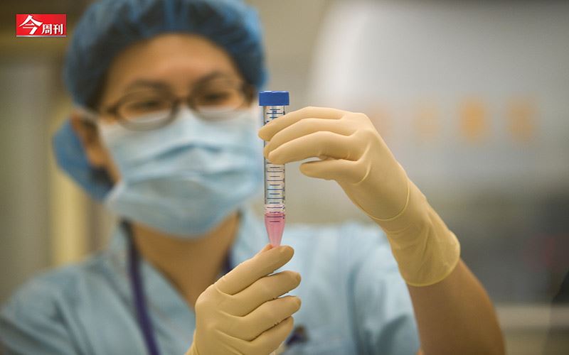 每年上千不孕家庭來　台生殖醫學奇蹟