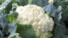 菜花,兇手,性行為,性病(翻攝自Pixabay)