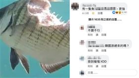 魚,留言,神人,暗諷,韓國瑜,朝聖　圖／翻攝爆廢公社二館