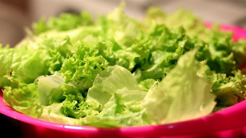 美國這產地蘿蔓生菜　爆大腸桿菌汙染