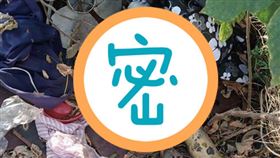 流浪狗,領養,垃圾堆,抱枕,爆廢公社　圖／翻攝自臉書爆廢公社