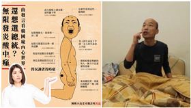 一圖看韓國瑜！全身「無限發炎酸中痛」　她：還想選總統？（組合圖／高鈺婷 新竹市立委參選人臉書、資料照）